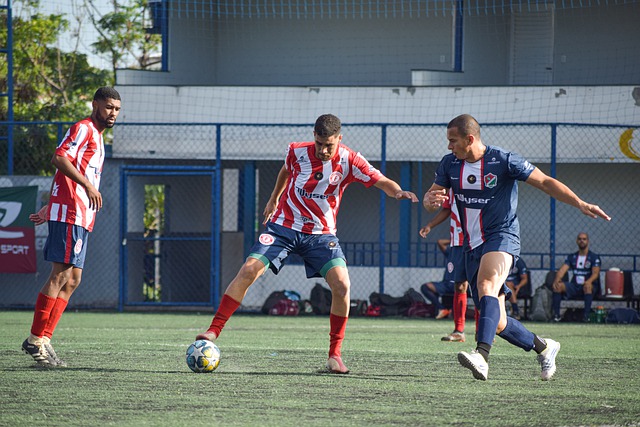 亚和加拿大 亚和加拿大