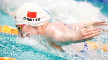 我们也应充 我们也应充