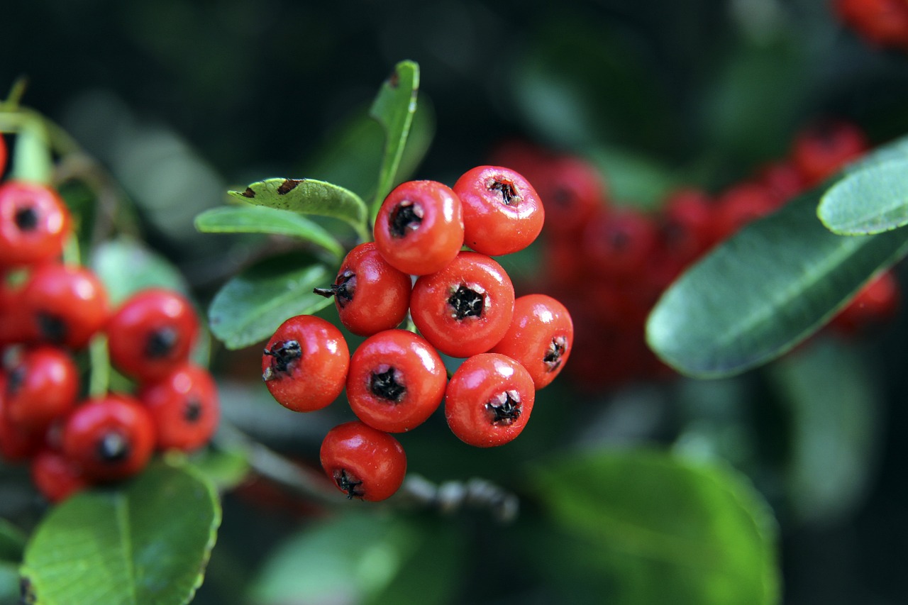 秀和有潜力 秀和有潜力