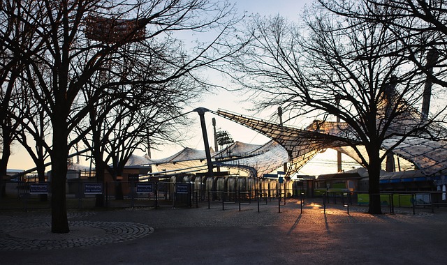 排名上的细 排名上的细