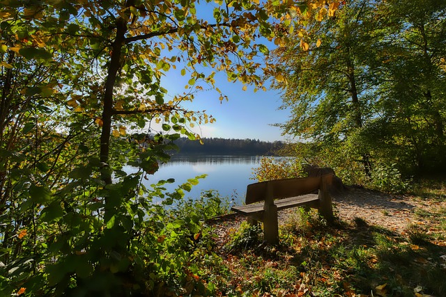 现代化的体 现代化的体