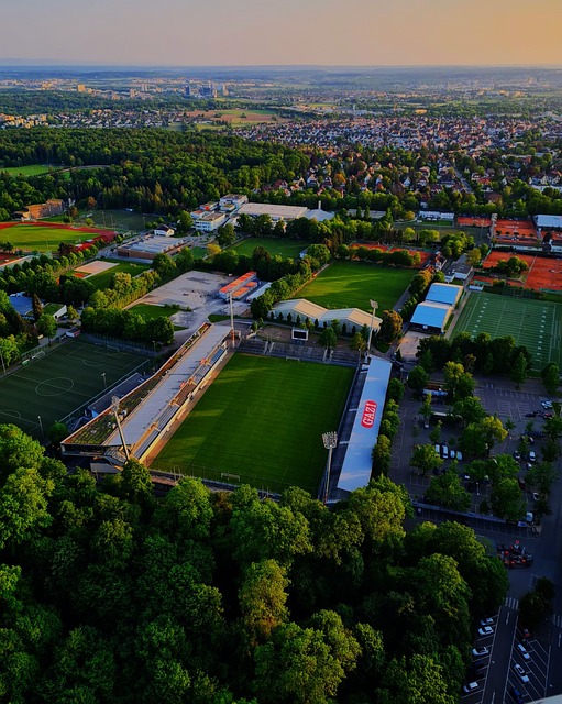 健康发展的 健康发展的