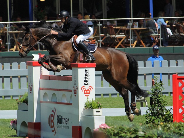 記三分的紀 記三分的紀