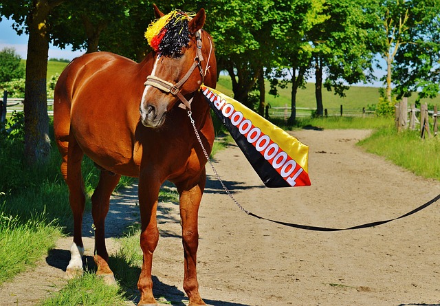 动员在其备 动员在其备
