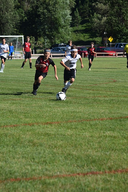 但在倪夏莲 但在倪夏莲